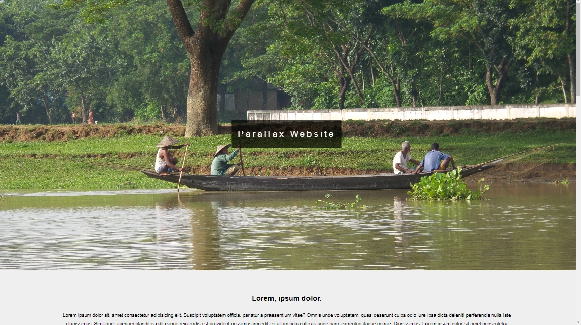 Parallax Website screenshot